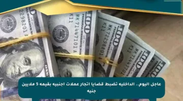 عاجل اليوم.. الداخلية تضبط قضايا إتجار عملات أجنبية بقيمة 5 ملايين جنيه